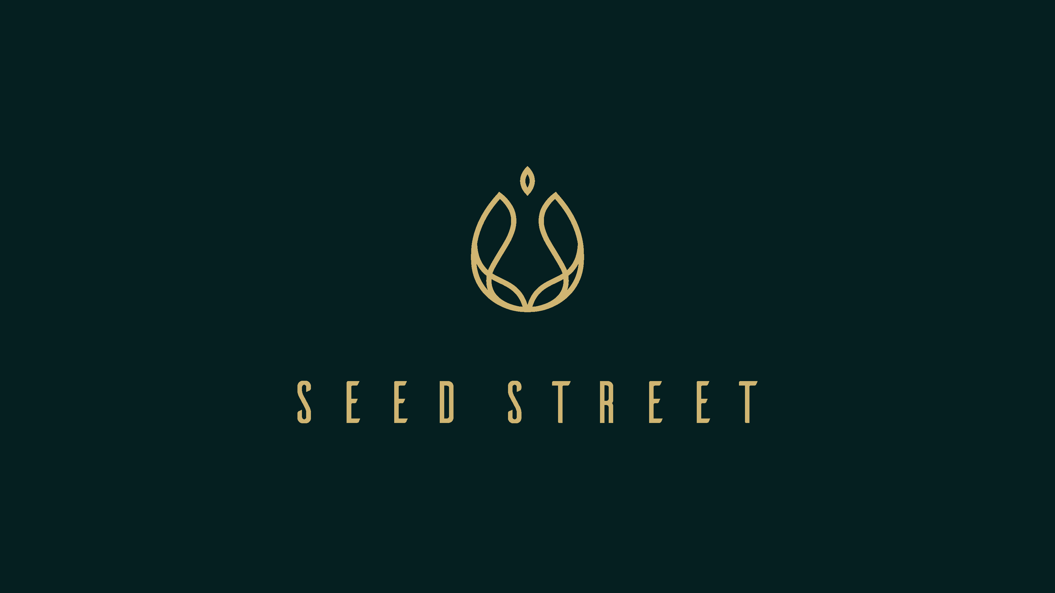 Seedstreet — Lockup verde