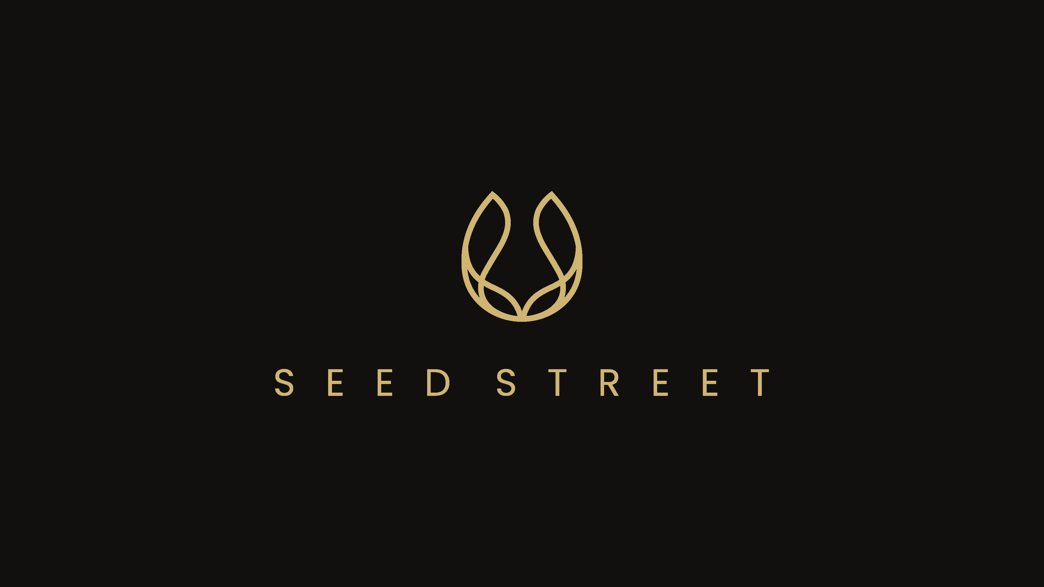 Seedstreet — Lockup negro